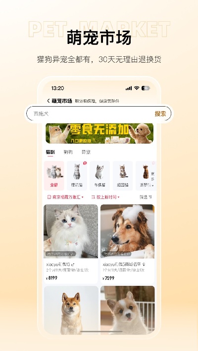 宠胖胖