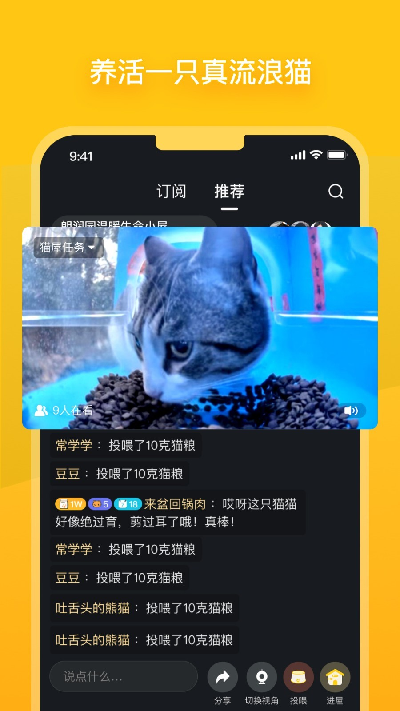 街猫游戏截图