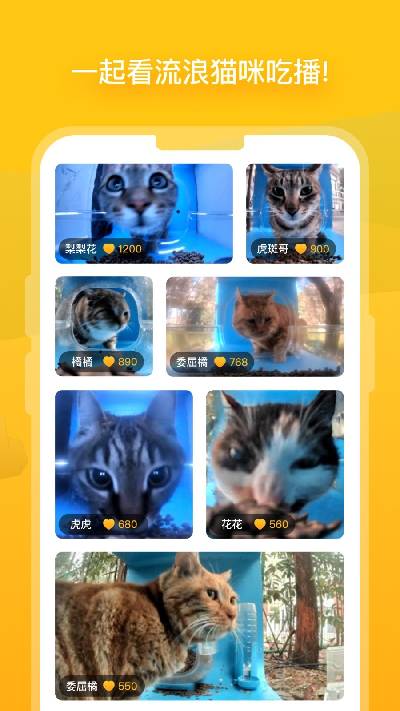 街猫游戏截图