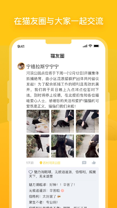街猫游戏截图