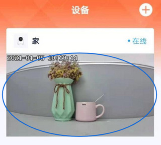 腾达安防监控app